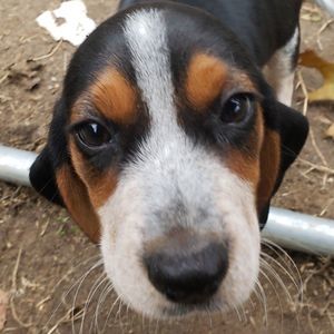 Meet your Posher, Ro